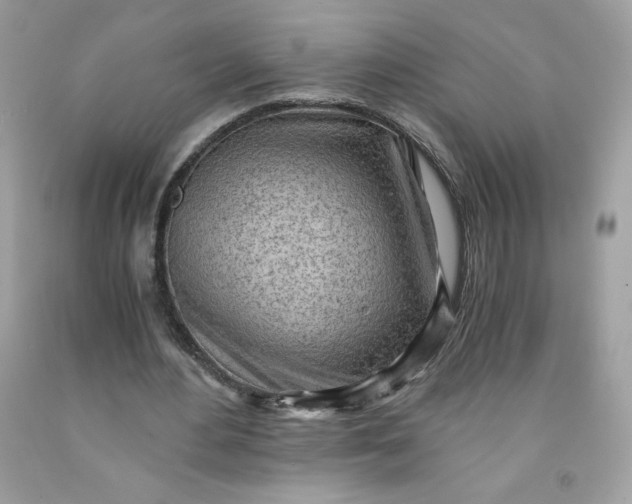 X0000091570484200709051042