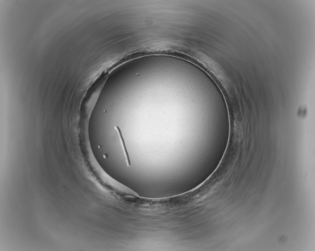 X0000091570485200709051042
