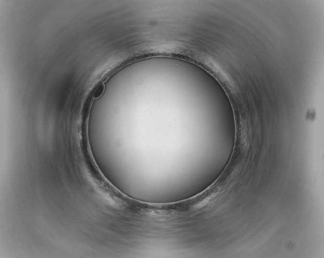X0000091570486200709051042