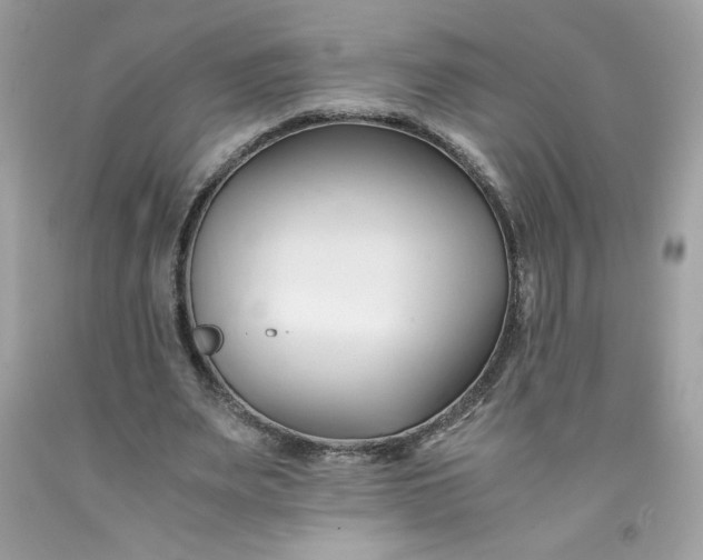 X0000091570487200709051042