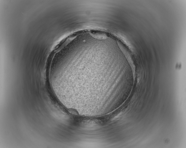 X0000091570488200709051042