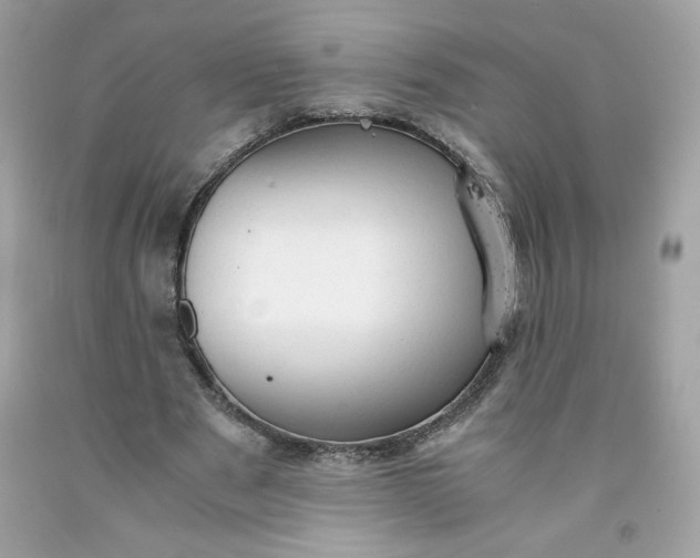 X0000091570489200709051042