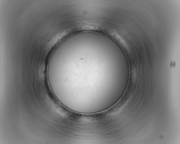 X0000091570490200709051042