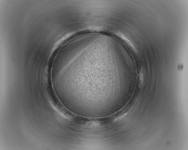 X0000091570492200709051042