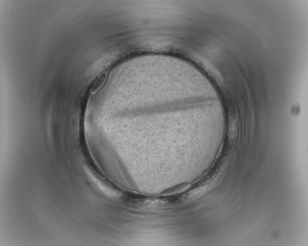 X0000091570493200709051042