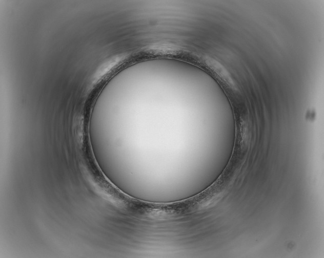 X0000091570494200709051042