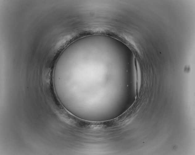 X0000091570495200709051042