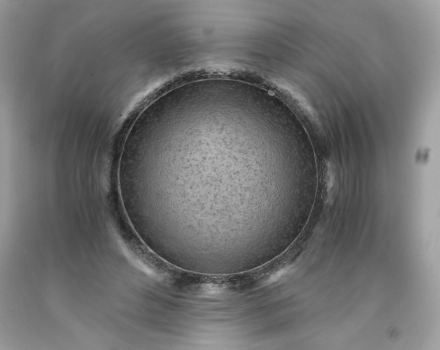 X0000091570496200709051042