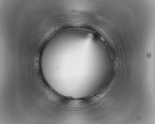 X0000091570497200709051042
