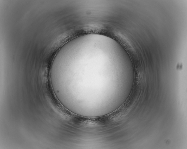 X0000091570498200709051042