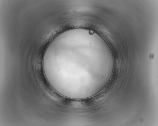 X0000091570499200709051042