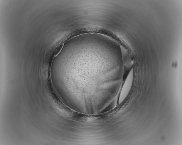 X0000091570501200709051042