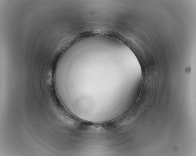 X0000091570502200709051042