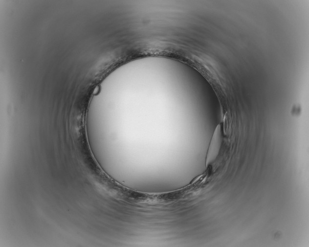 X0000091570503200709051042
