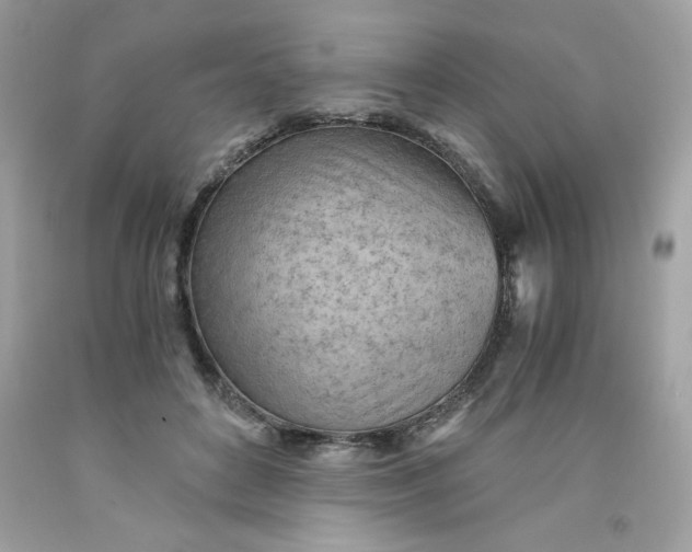 X0000091570504200709051042