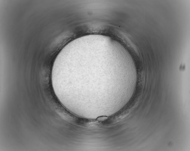 X0000091570505200709051042