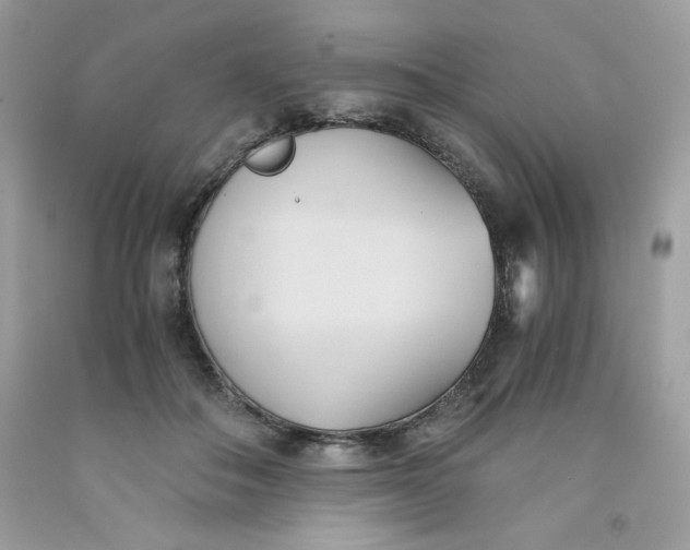 X0000091570506200709051042
