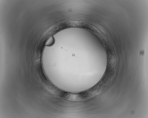 X0000091570507200709051042