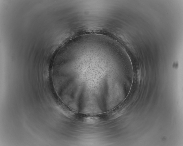 X0000091570508200709051042