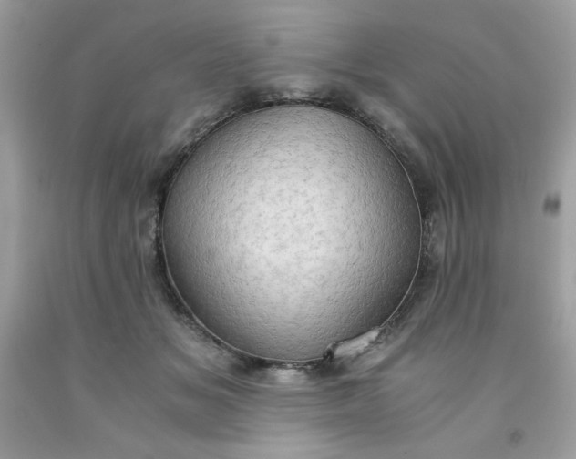 X0000091570509200709051042