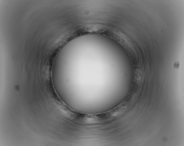 X0000091570510200709051042
