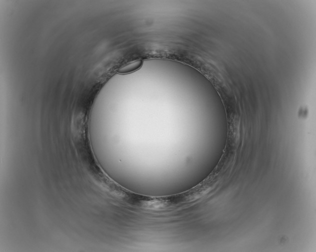 X0000091570511200709051042