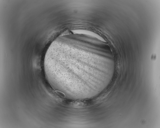 X0000091570512200709051042