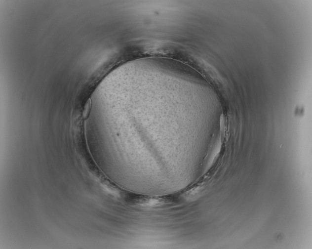 X0000091570513200709051042