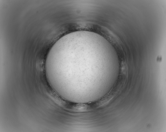 X0000091570514200709051042
