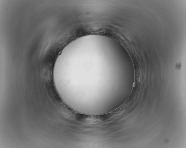 X0000091570515200709051042