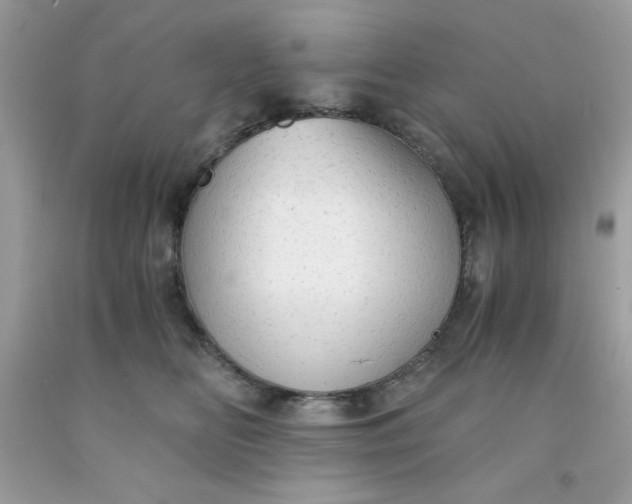 X0000091570518200709051042