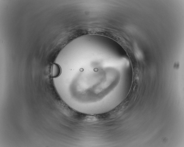X0000091570519200709051042