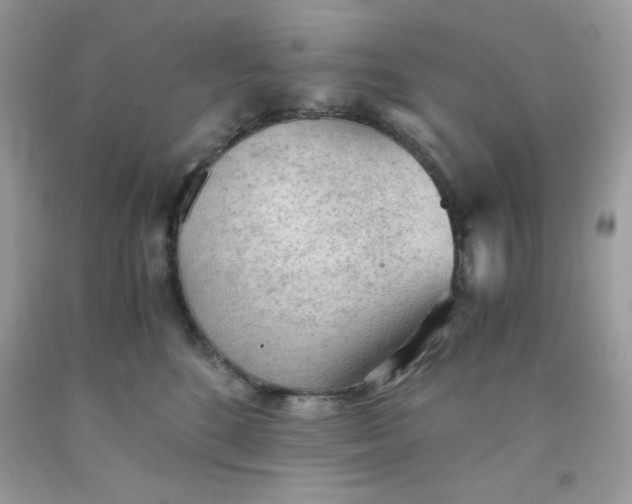 X0000091570520200709051042
