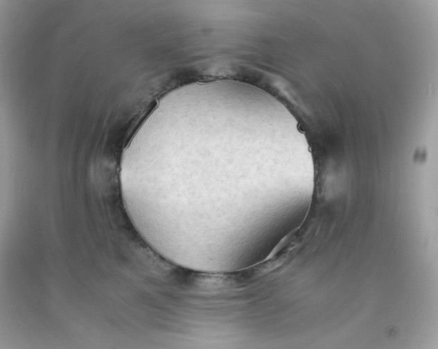 X0000091570521200709051042