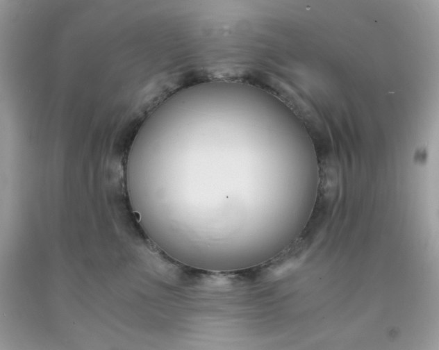 X0000091570523200709051042
