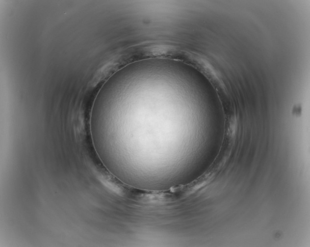 X0000091570524200709051042
