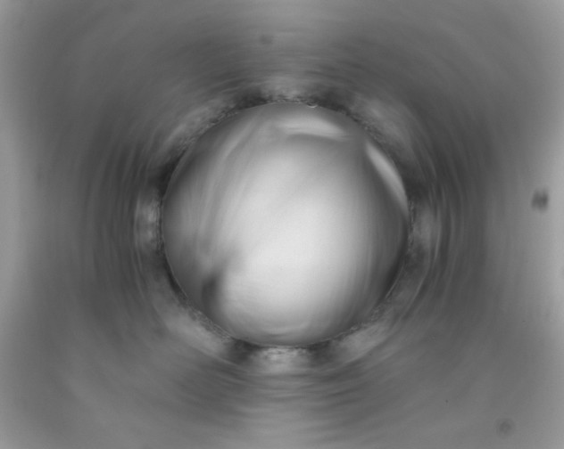 X0000091570526200709051042