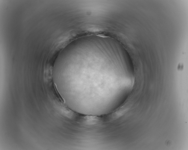 X0000091570528200709051041