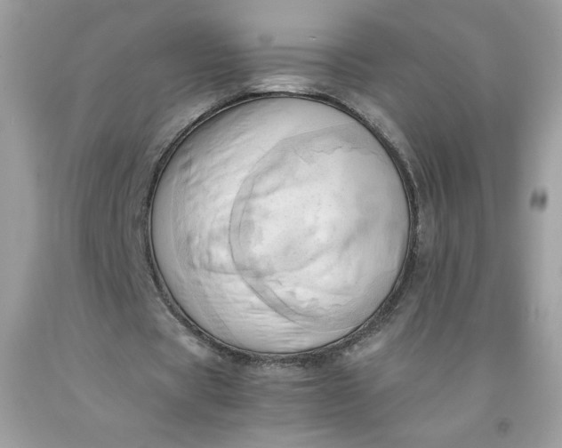 X0000091570529200709051041