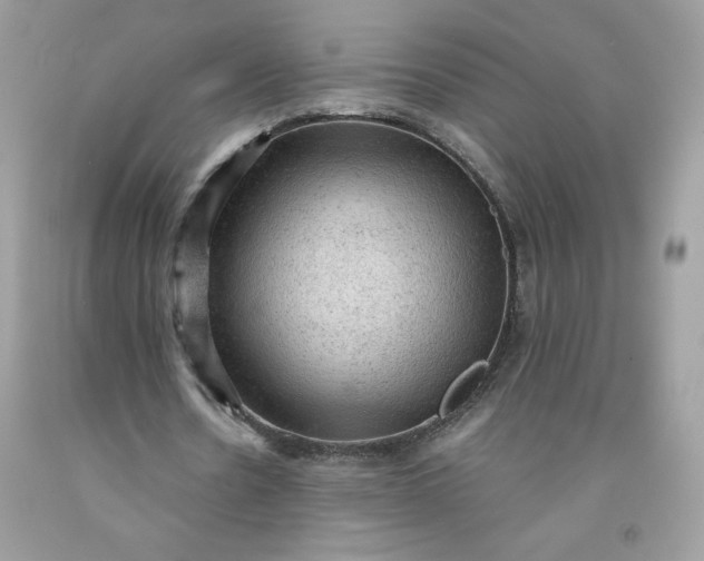 X0000091570530200709051041