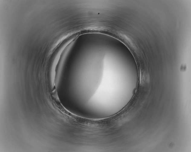 X0000091570531200709051041