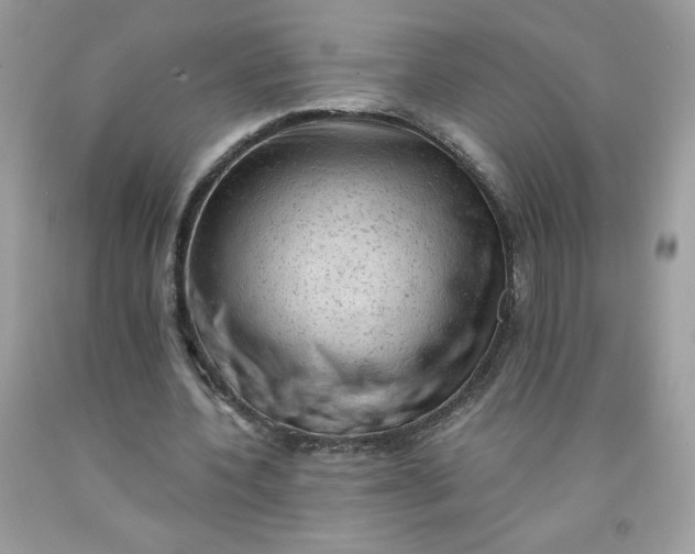 X0000091570532200709051041