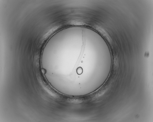 X0000091570533200709051041