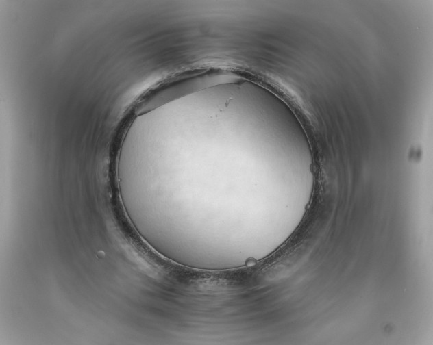 X0000091570535200709051041