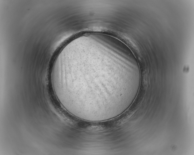 X0000091570536200709051041