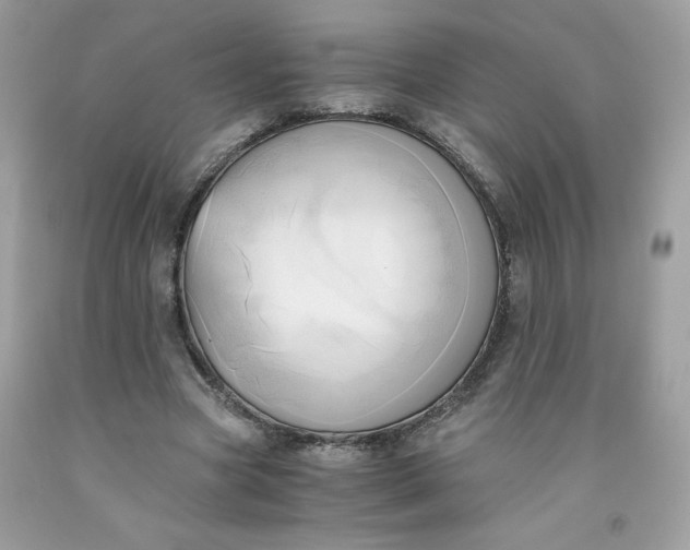 X0000091570537200709051041