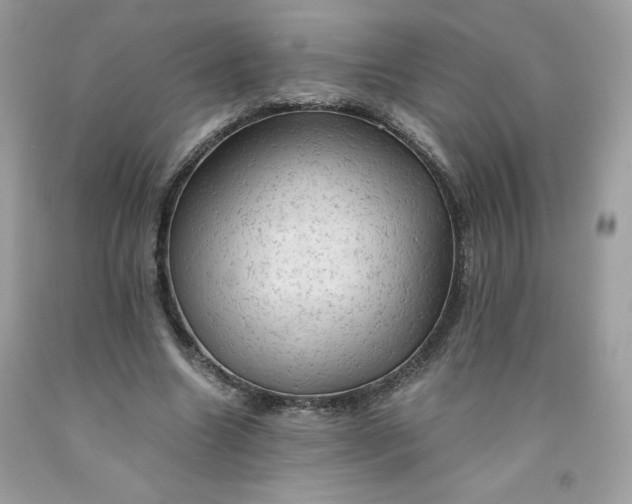 X0000091570538200709051041
