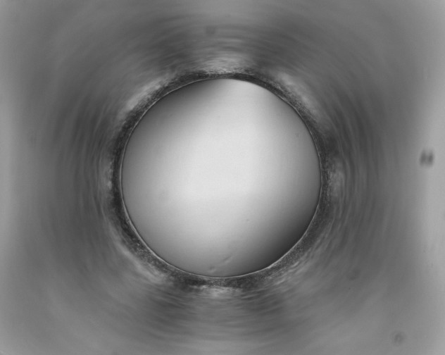 X0000091570539200709051041