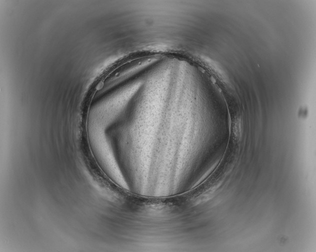 X0000091570540200709051041