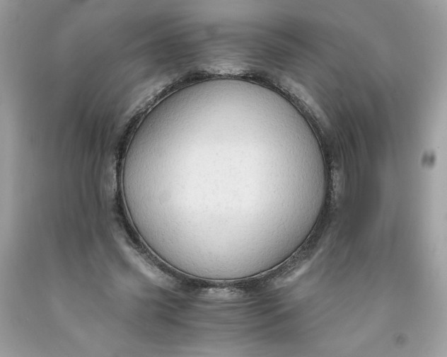 X0000091570541200709051041